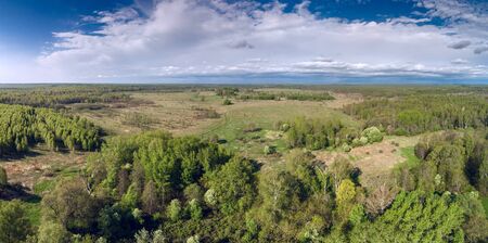 Field overgrown with forest. View from a height. Sunny day. Yaroslavl Region, Russiaの写真素材