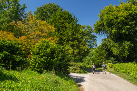 Two elderly people travel with backpacks and trekking sticks. Devon. Englandの写真素材