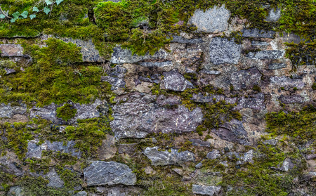 Texture of an old stone wall (fence), which overgrown with green moss. Natural backgroundの写真素材