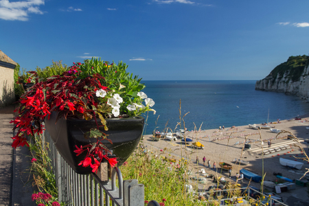 A pot of flowers on the background of a bay in the village of Beer. Devon. Englandの写真素材
