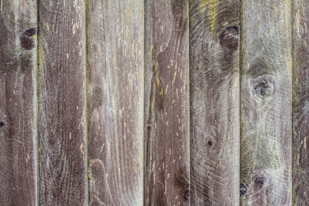 Wooden background of seven boards. Knots and resin are visibleの写真素材