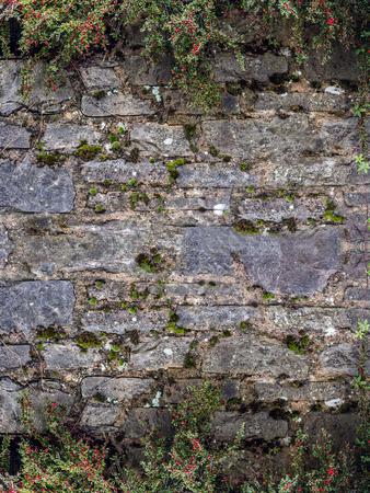 Background in the form of a frame. Above and below is limited by plant growth. Old wall of stones.の写真素材