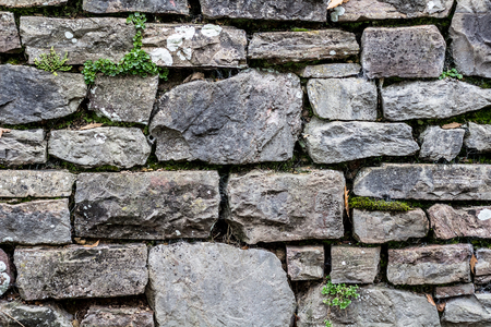 Fragment old fence masonry. From the crevices grow plants.の写真素材