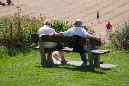 Woolacombe, Devon, England, 14 July, 2016:  Two elderly people are sitting on a bench near the beach of Woolacombe. Next to them is a dogのeditorial素材