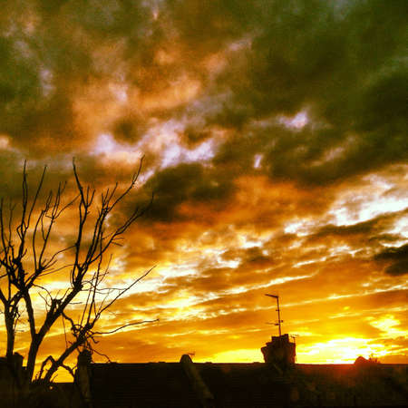 London sunsetの素材