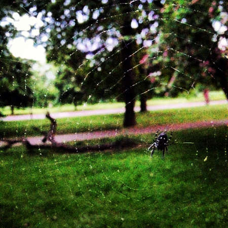 Spider chillingの素材