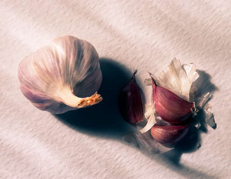 GARLIC BULB AND CLOVES CASTING SHADOW ON WHITE BACKGROUNDの写真素材