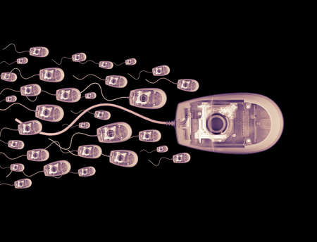 X RAY PHOTOGRAPHIC IMAGE OF COMPUTER MICE SWIMMING LIKE SPERM ON BLACK BACKGROUNDの写真素材