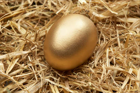 Single golden egg in nest of strawの写真素材