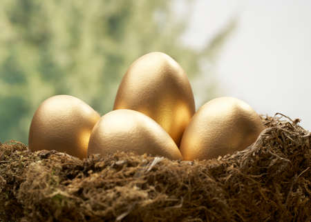 Four golden eggs in bird nest with trees in backgroundの写真素材