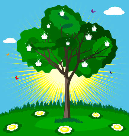 against the bright sun, blue sky and green grass - flowering white flowers magical treeのイラスト素材