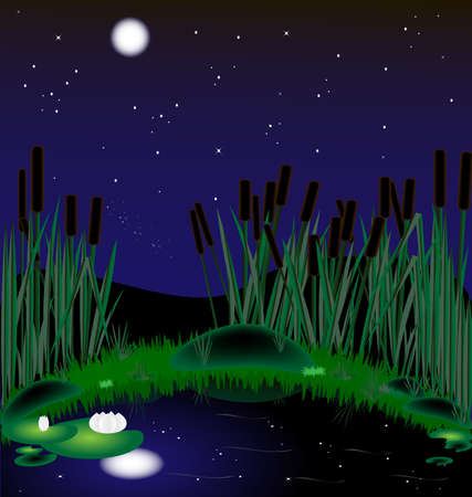 moonlit night, a lake with reeds and water liliesのイラスト素材
