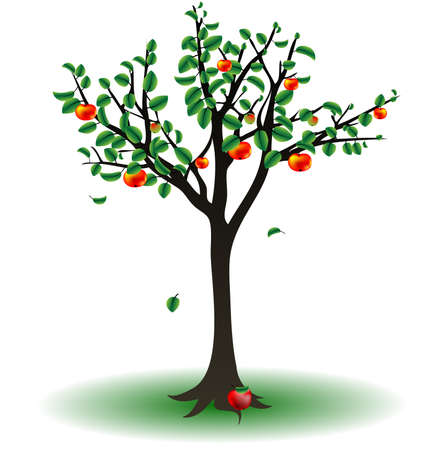 on a white background is the apple treeのイラスト素材