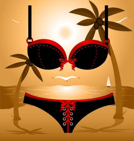 on a beach is lady s black swimsuit  pants and braのイラスト素材