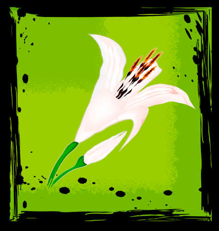 abstract green and lilyのイラスト素材