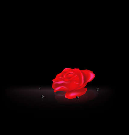 vector illustration dark background and image of the red-colored fantasy flower rose with black beadsのイラスト素材