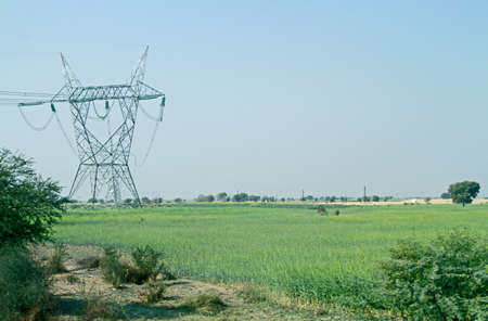 Powerline on the fieldの写真素材