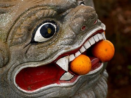 Dragon headの写真素材