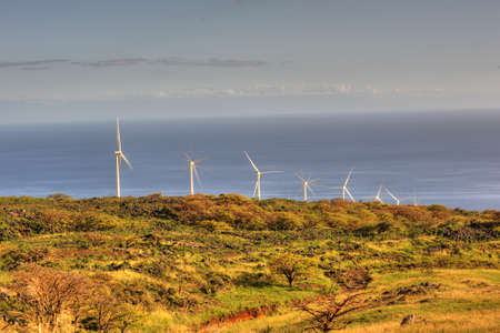 South Maui  windmills