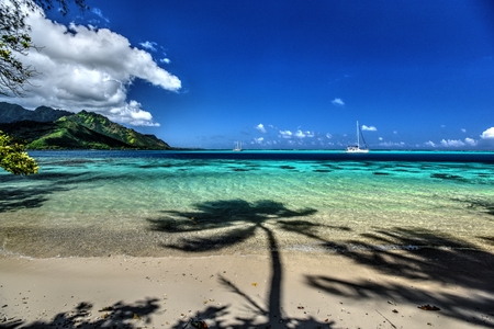 Beach, Moorea