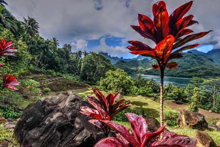 Opunohu Bay Tahitiの写真素材