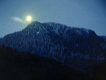 Beautiful winter landscape with snow covered trees.の写真素材