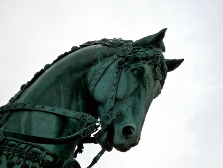 bronze statue of a horse head ,horse head sculpture,の写真素材