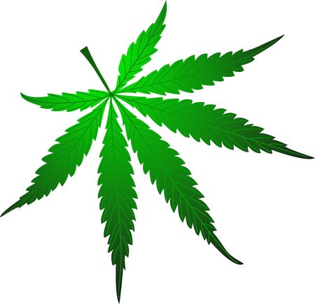 Marijuana leaf, cannabis, cannabis leaf,のイラスト素材