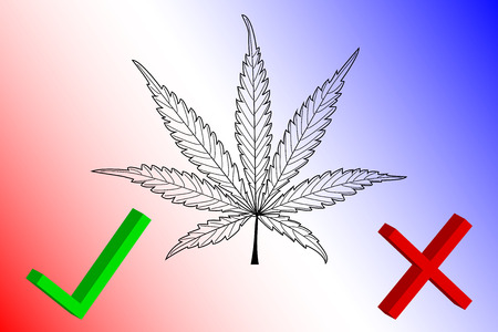 Marijuana Yes - No, Marijuana leaf, cannabis, cannabis leaf,のイラスト素材
