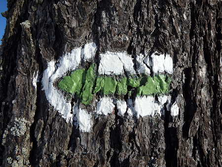 green trail sign, Green travel sign,