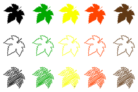Fig leaf - color set, fig leaf,のイラスト素材