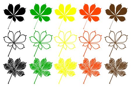 Buckeye leaf - color set, buckeye leafのイラスト素材