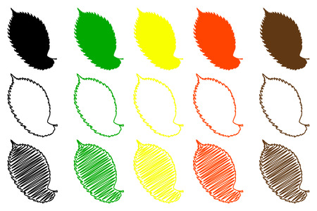 Flat elm leaf - color set, elm leaf.のイラスト素材