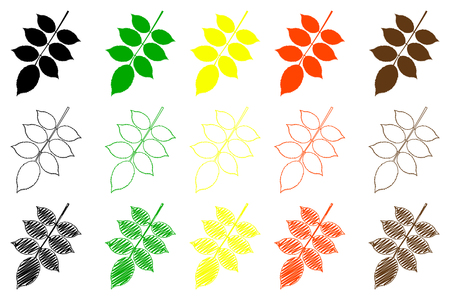 walnut leaf - color set, walnut leaf,のイラスト素材