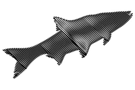 asp silhouette vector, (Aspius aspius),のイラスト素材