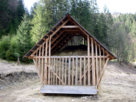 Hay in the forest, Animal feed in the woodsの写真素材