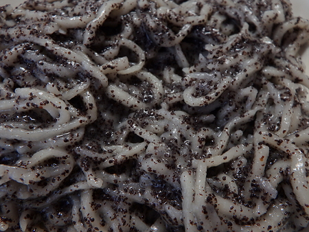 Noodles with poppy seeds - traditional Slovak dishes