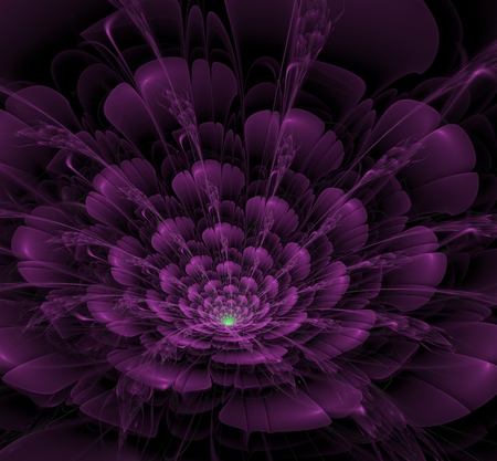 Bright abstract fractal violet flowers, Fractal Flowers Fantasyの写真素材
