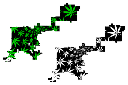 Denver city (United States of America, USA, U.S., US, United States cities, usa city)- map is designed cannabis leaf green, City of Denver map made of marijuana (marihuana,THC) foliage,のイラスト素材