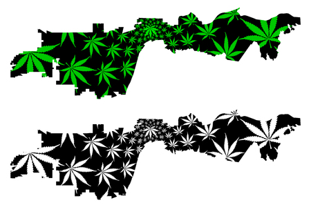 Anaheim city (United States of America, USA, U.S., US, United States cities, usa city)- map is designed cannabis leaf green, City of Anaheim map made of marijuana (marihuana,THC) foliage,のイラスト素材