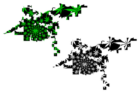 Bakersfield city (United States of America, USA, U.S., US, United States cities, usa city)- map is designed cannabis leaf green, City of Bakersfield map made of marijuana (marihuana,THC) foliage,のイラスト素材