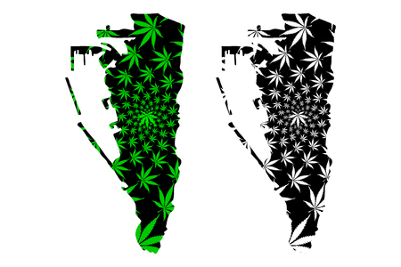 Gibraltar - map is designed cannabis leaf green and black, Principality of Gibraltar map made of marijuana (marihuana,THC) foliage,のイラスト素材