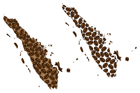 Sumatra (Greater Sunda Islands) -  map of coffee bean, Sumatra (Republic of Indonesia) map made of coffee beans,のイラスト素材