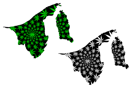 Brunei - map is designed cannabis leaf green and black,  Nation of Brunei, the Abode of Peace map made of marijuana (marihuana,THC) foliage,のイラスト素材