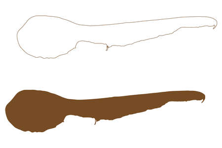 Ameland island (Kingdom of Netherlands, West Frisian Islands) map vector illustration, scribble sketch It Amelan mapのイラスト素材