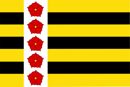 Flag of Horst aan de Maas Municipality (Limburg province, Kingdom of the Netherlands, Holland) Haors aan de Maosのイラスト素材