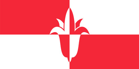 Flag of Bernheze Municipality (North Brabant or Noord-Brabant province, Kingdom of the Netherlands, Holland)のイラスト素材