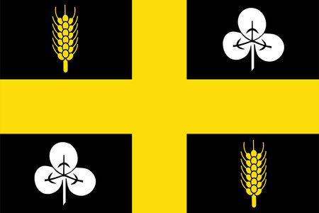 Flag of Raalte Municipality (Overijssel or Oaverysel province, Kingdom of the Netherlands, Holland)のイラスト素材