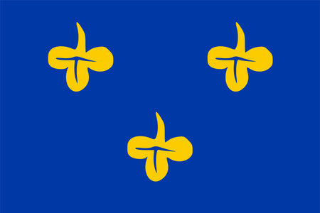 Flag of Zoeterwoude Municipality (South Holland or Zuid-Holland province, Kingdom of the Netherlands, Holland)のイラスト素材