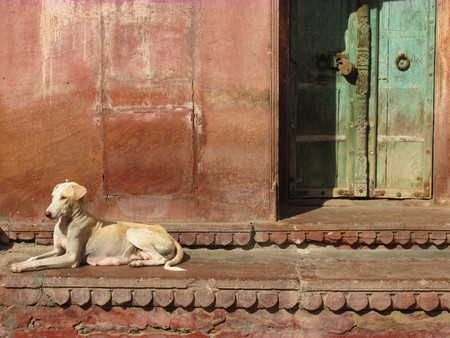 Indian doors and windows. House facade.の写真素材